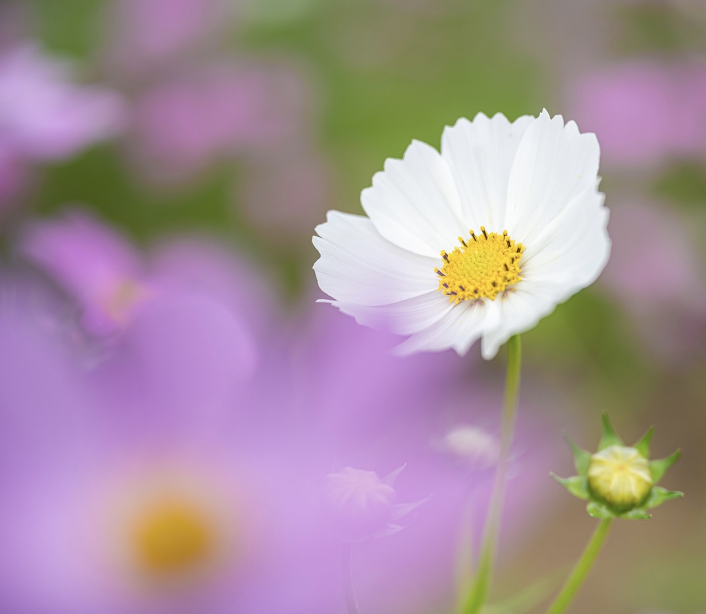 390DCEF0-76F7-43D7-A623-C1A6A177F294