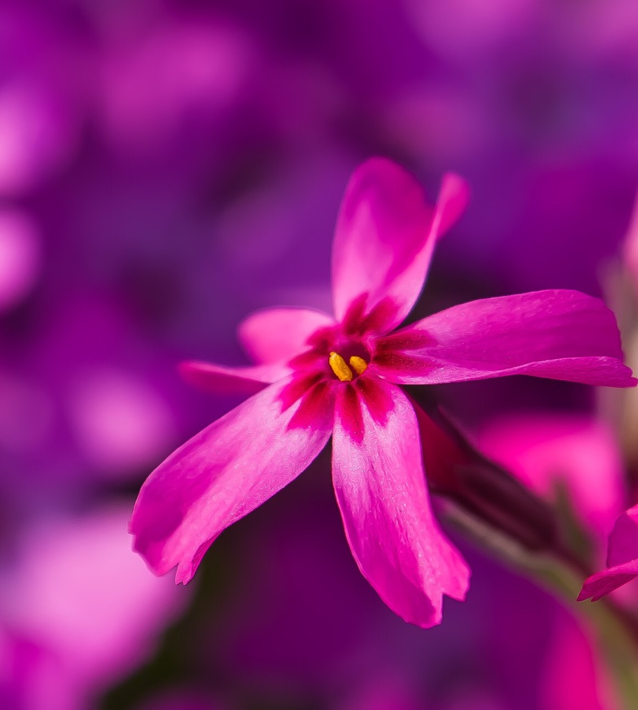 263FF305-A6A0-4B90-BA93-B2AE3CE27B5E