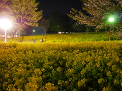 A18346F5-FEB1-41FE-B3D4-998F9C827429