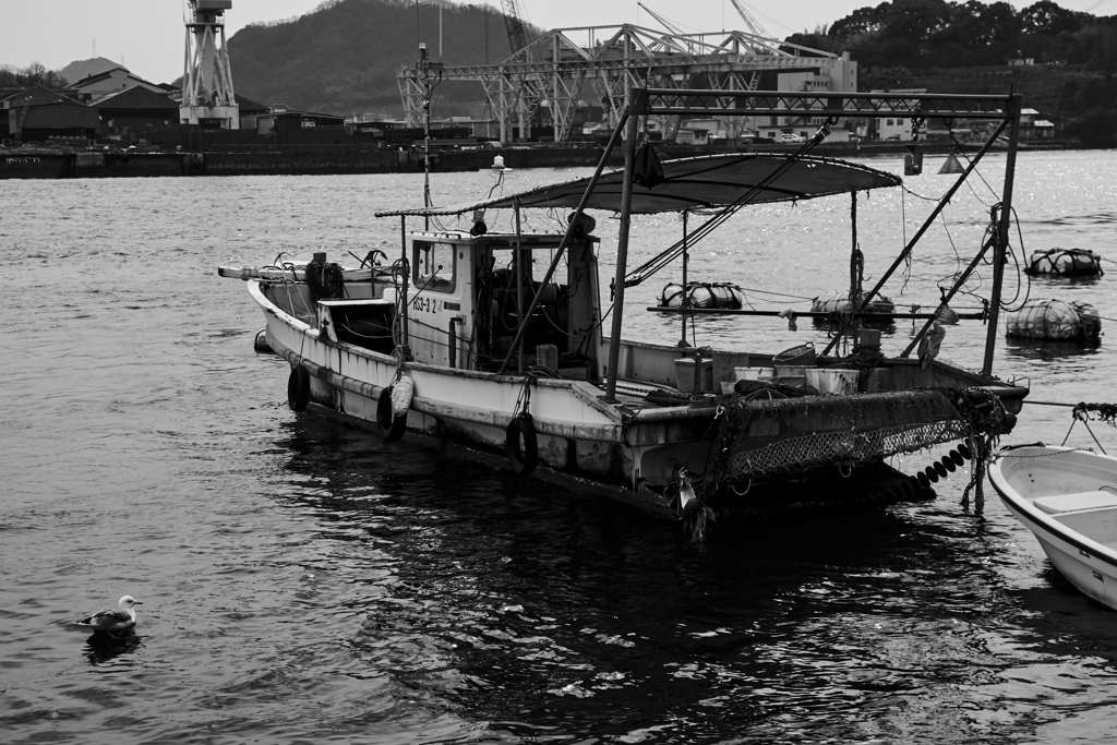 DSC01914