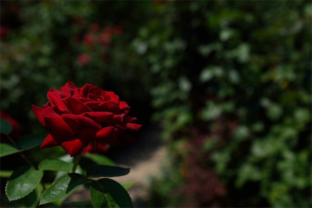 2DA98F0B-6D0A-47F0-A9C3-C5721EB01518
