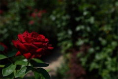 2DA98F0B-6D0A-47F0-A9C3-C5721EB01518