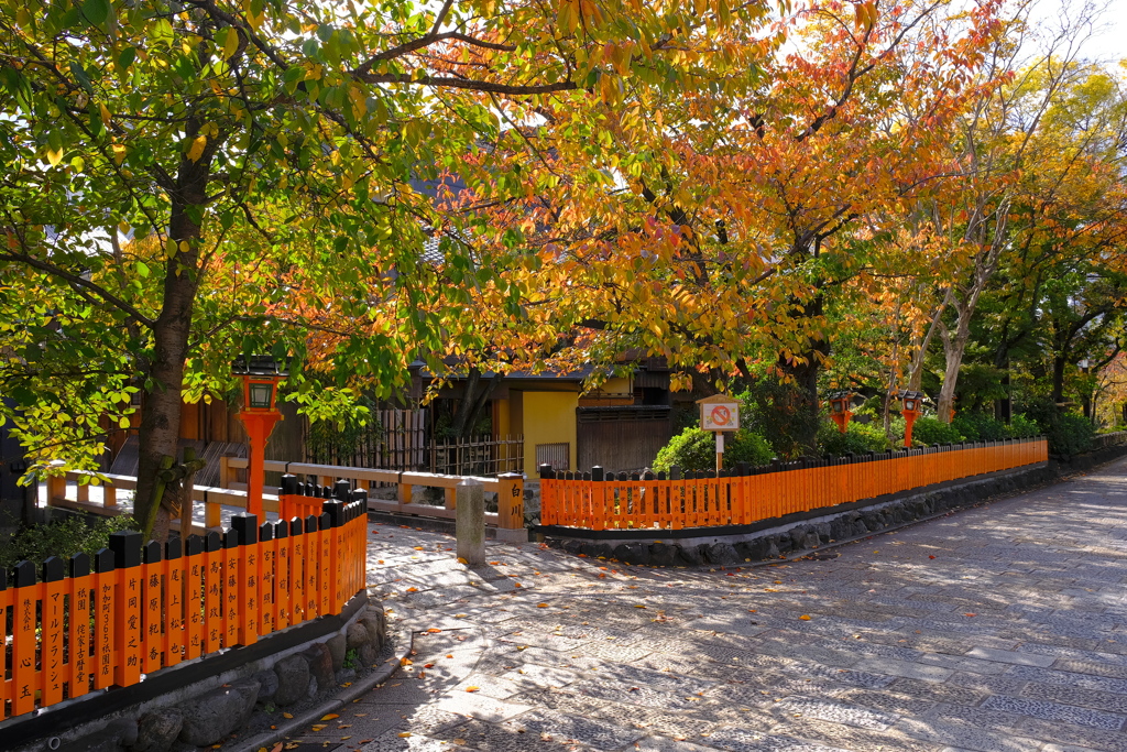 今週の京紅葉
