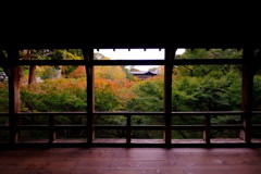 秋の京都へ^ ^
