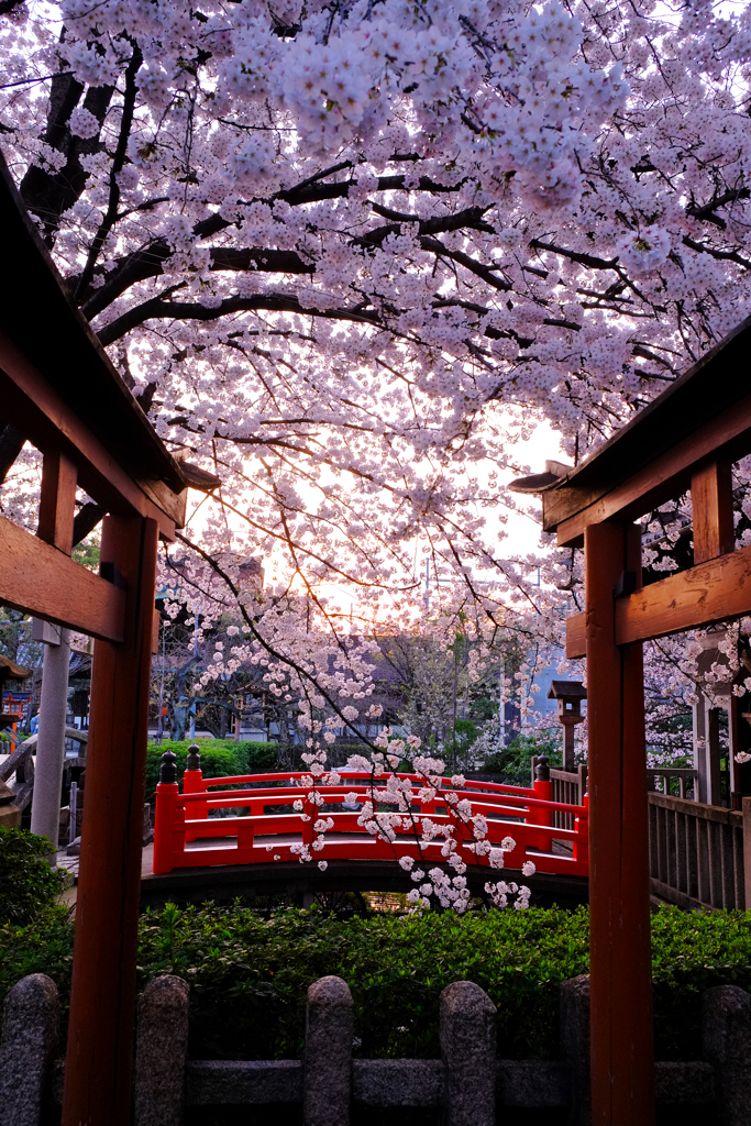 夕空に