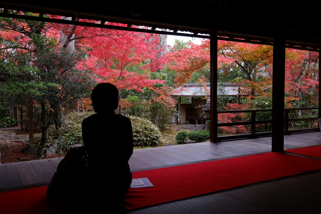 2018古都の秋(京都)