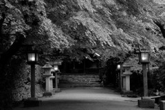 参道