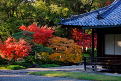 2018古都の秋(奈良)