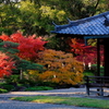 2018古都の秋(奈良)