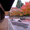 禅寺の秋