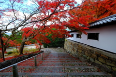 2018古都の秋(京都)