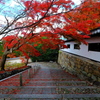 2018古都の秋(京都)
