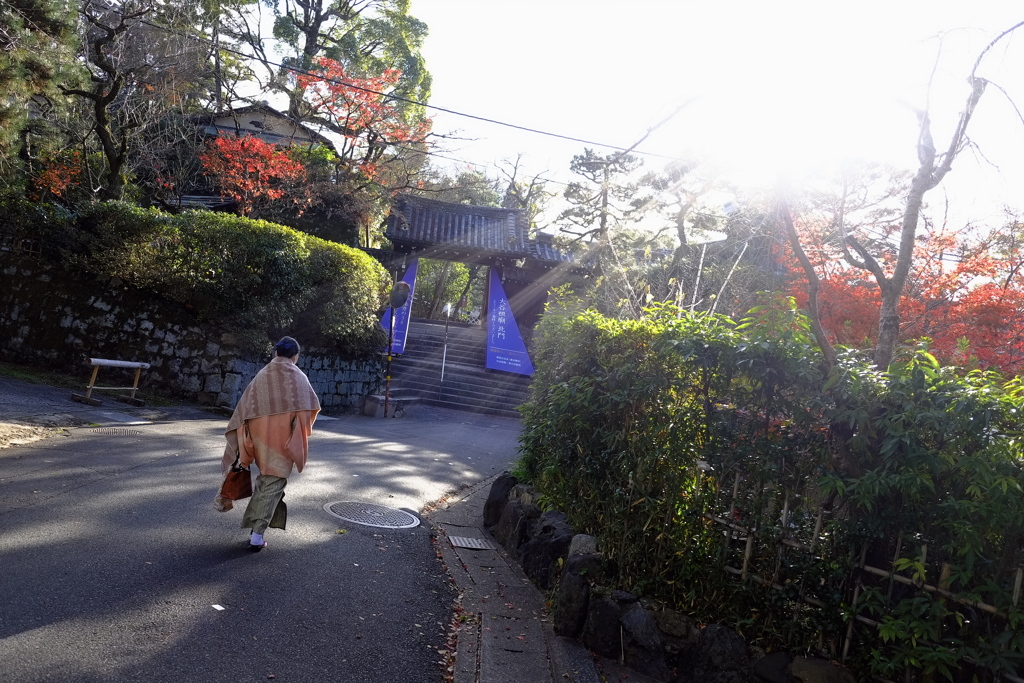 名残の秋色