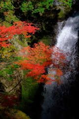 大滝と紅葉