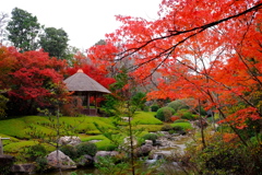 京都へ紅葉狩りに行きたい