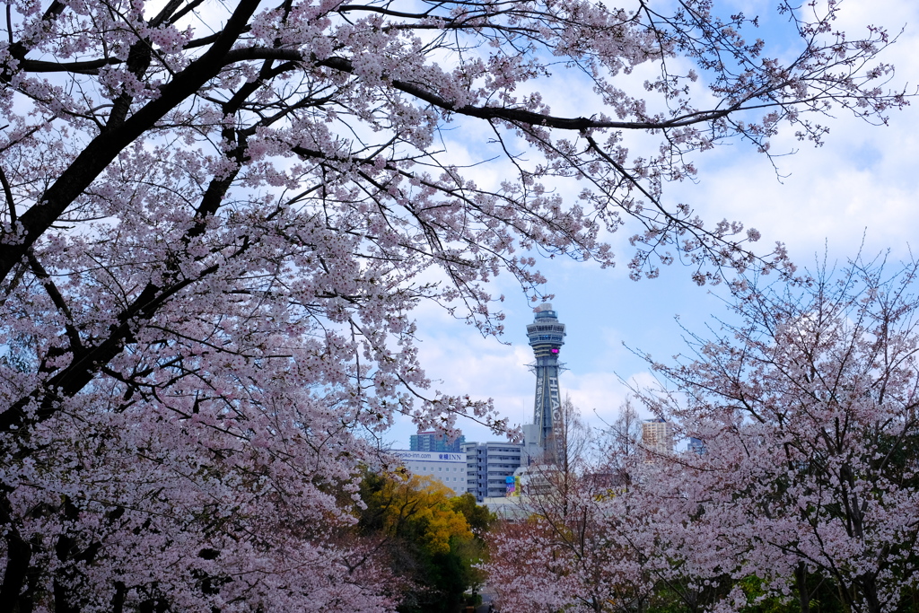 大阪も