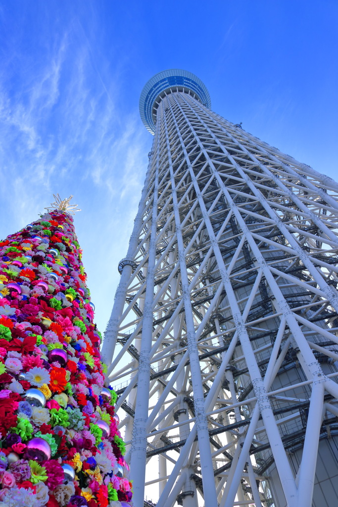 スカイツリー