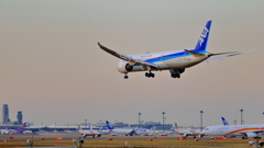 ANA B787