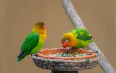 上野動物園にて