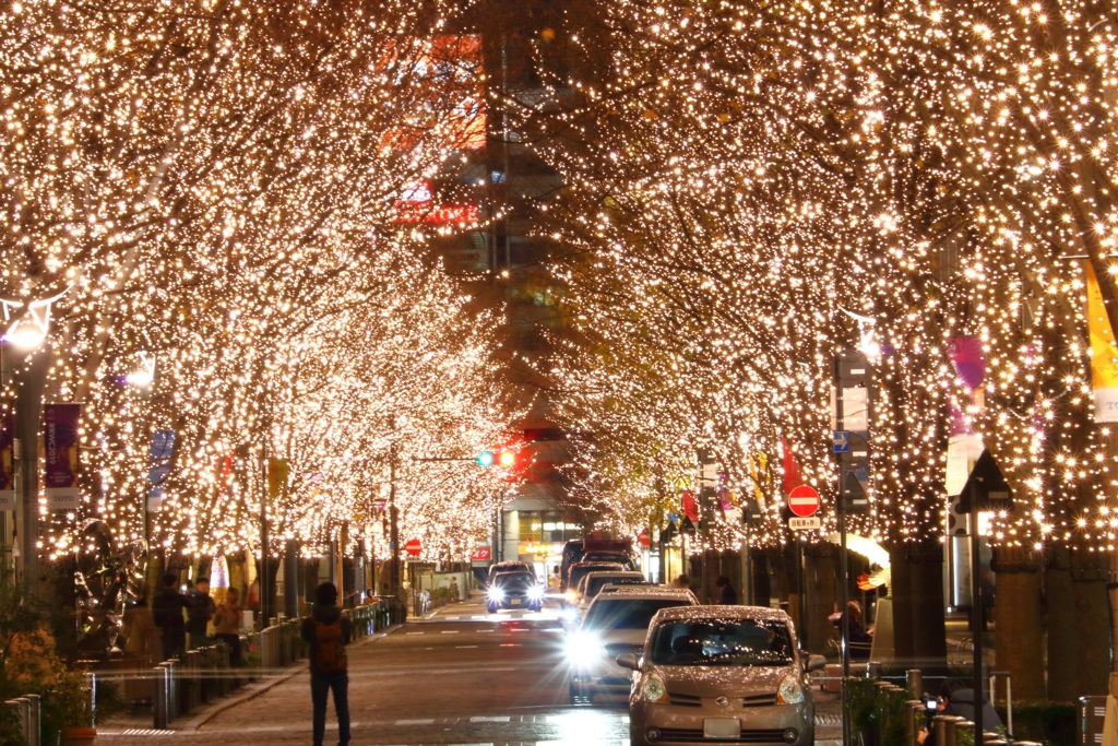 1DCF3E1F-EBF0-4E06-80AA-E91532E9501D