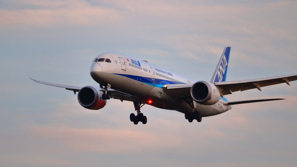 ANA B787