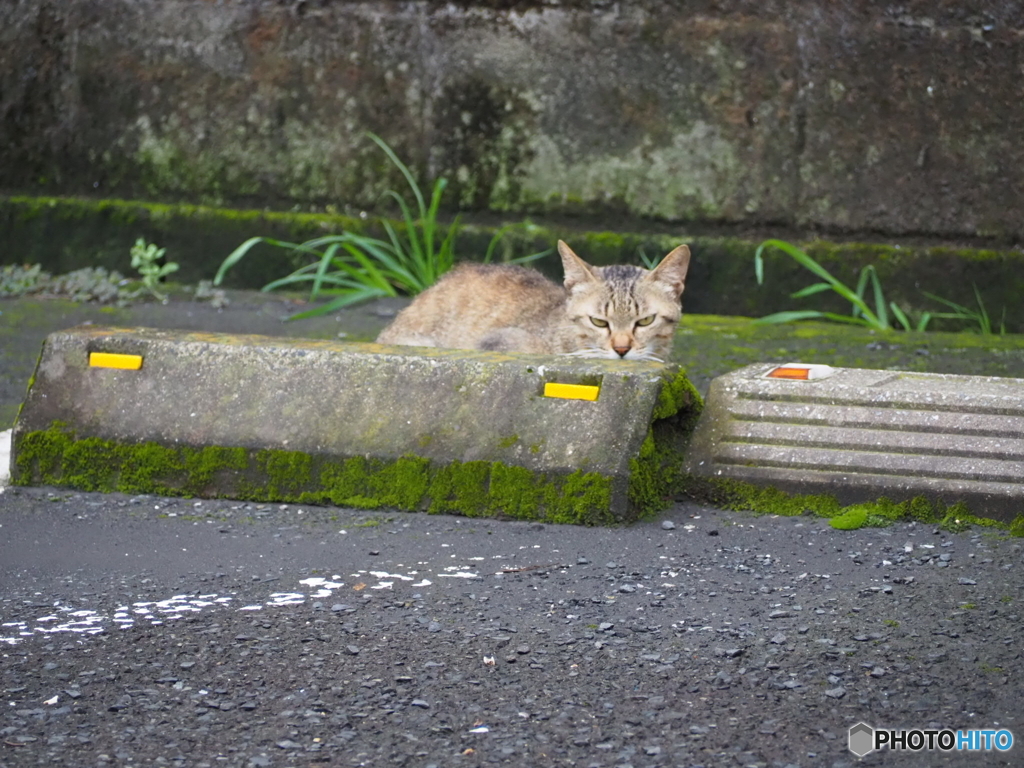 鋭い眼孔