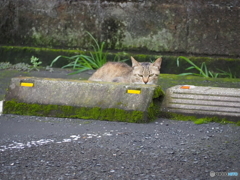 鋭い眼孔