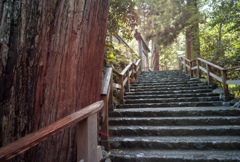 皇大神宮への石段