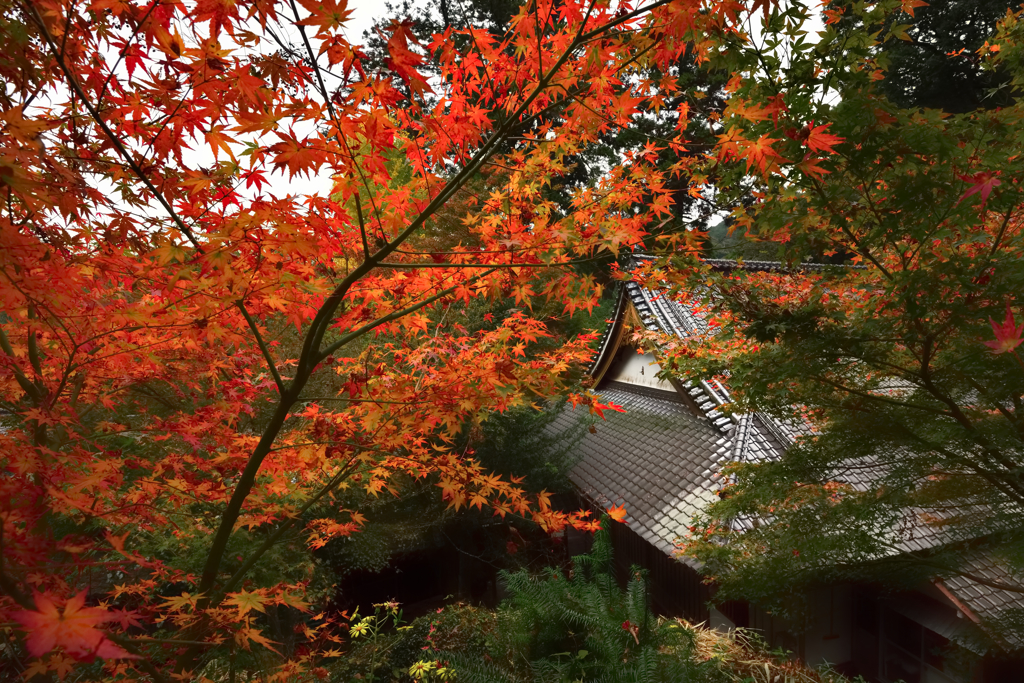 永勝寺