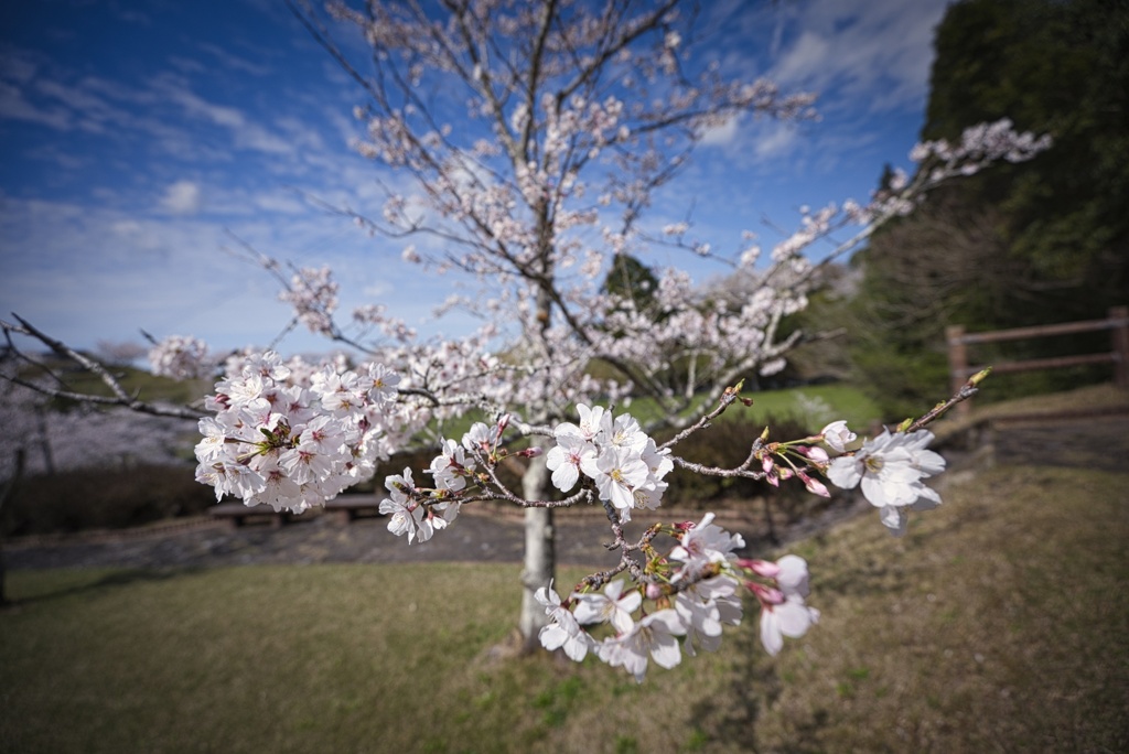 上米公園にて