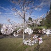 上米公園にて