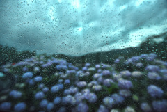 梅雨の車窓風景