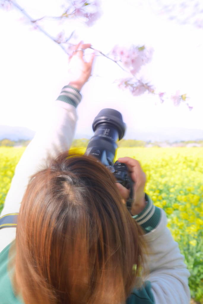 春の風