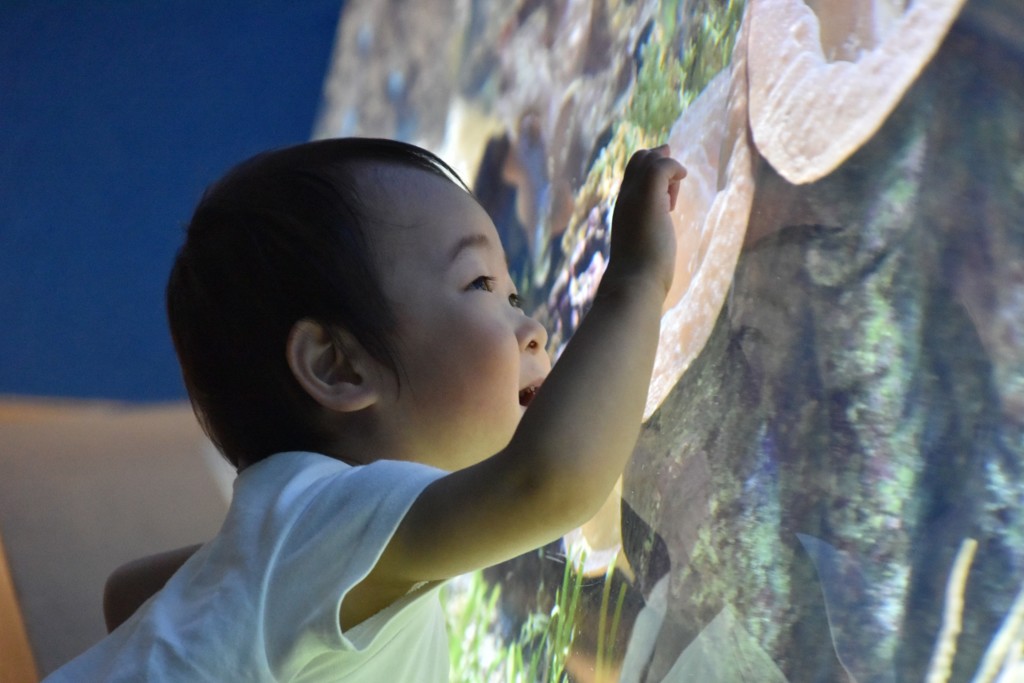 水族館