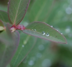 DSCF3886