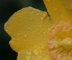 DSCF3876