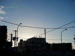 初夏、早朝 (1)