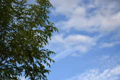 空