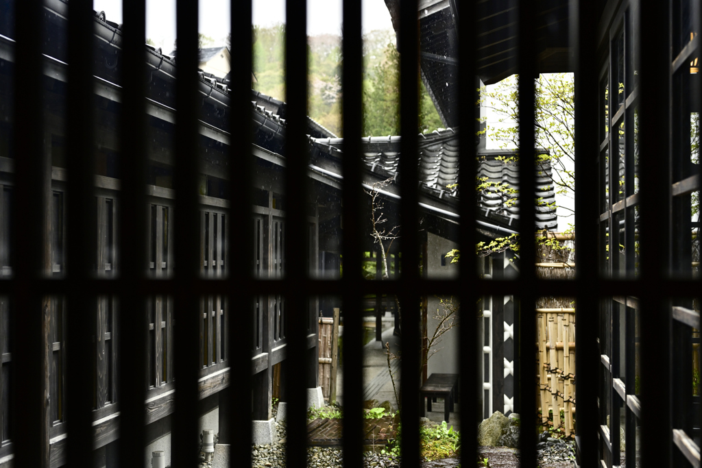 格子のむこうはこぬか雨