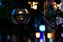 街の灯がともるころ