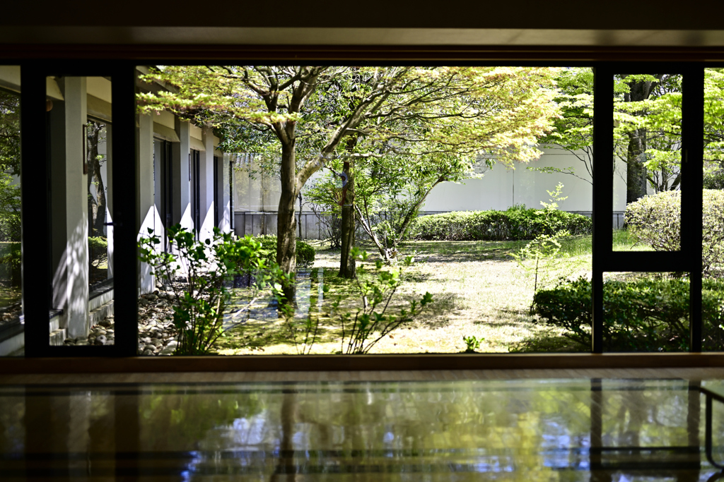 五月の光、五月の緑