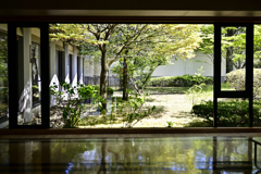 五月の光、五月の緑