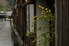 雨の降る古い街