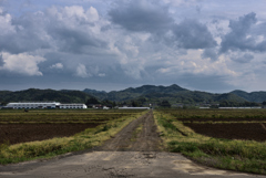 大地、空、そして自然が動き出す春