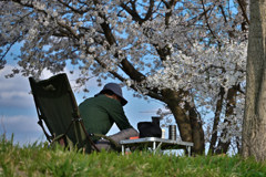 桜の下の日曜日