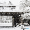 雪の日に