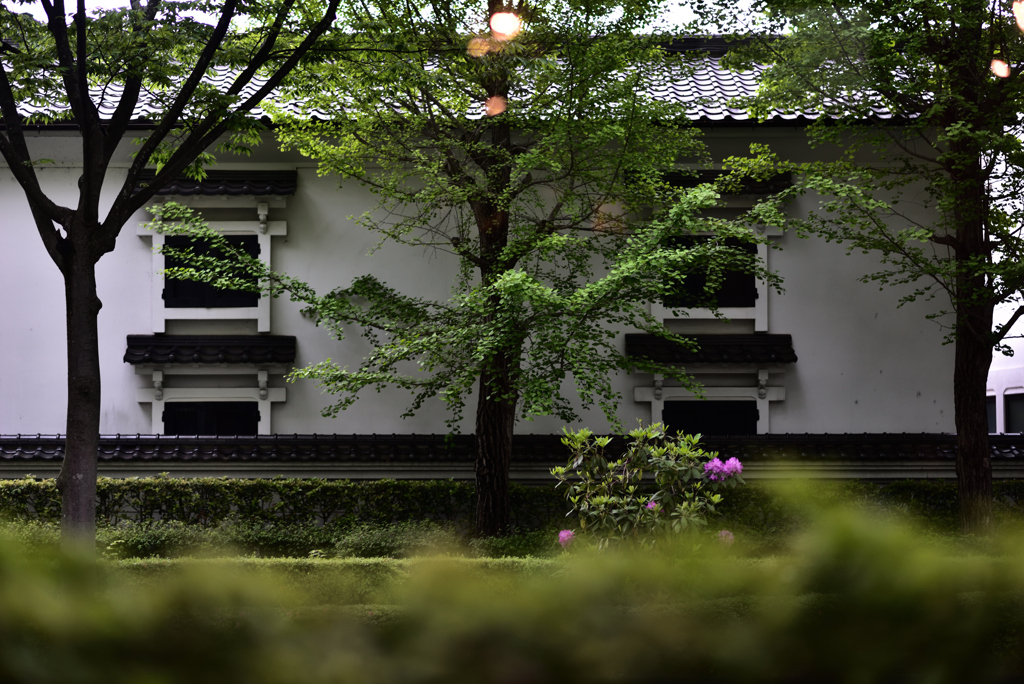 ガラス窓の向こう