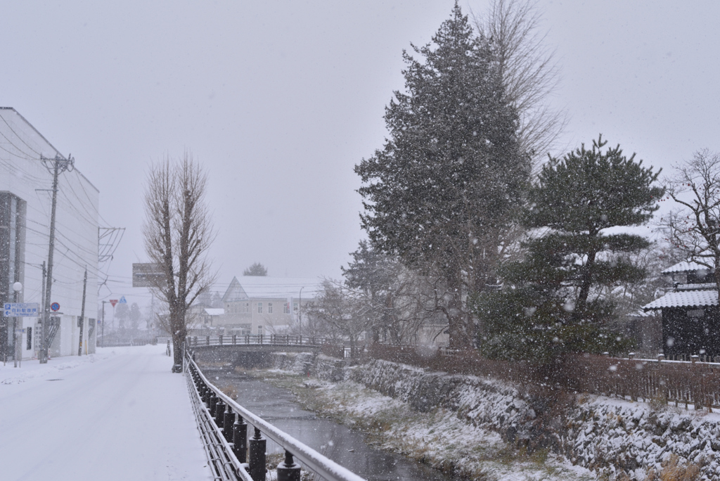 雪に包まれて