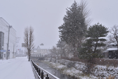 雪に包まれて