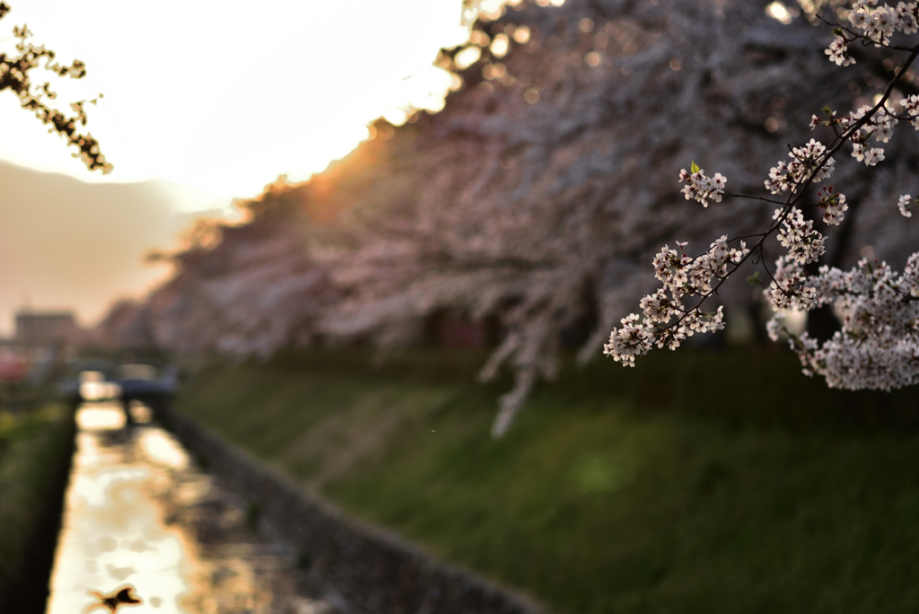 夕映え